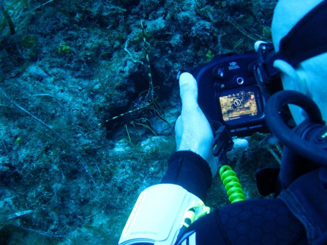  Cursos de fotografía en el mar 